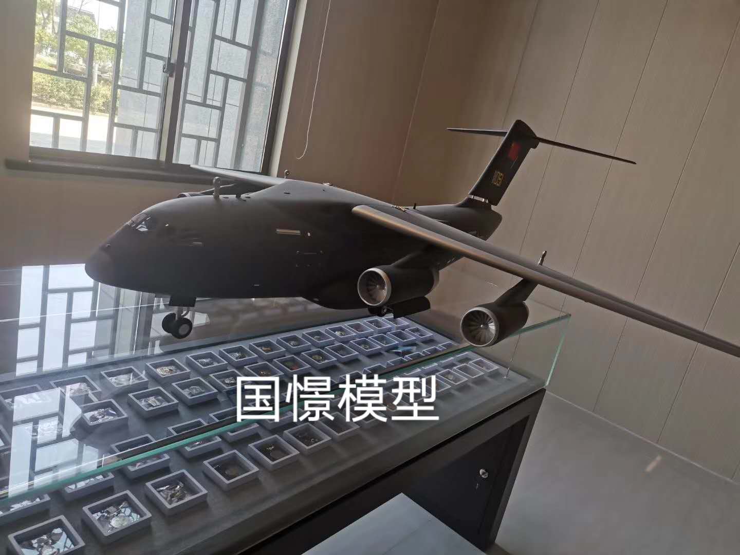 嘉黎县飞机模型